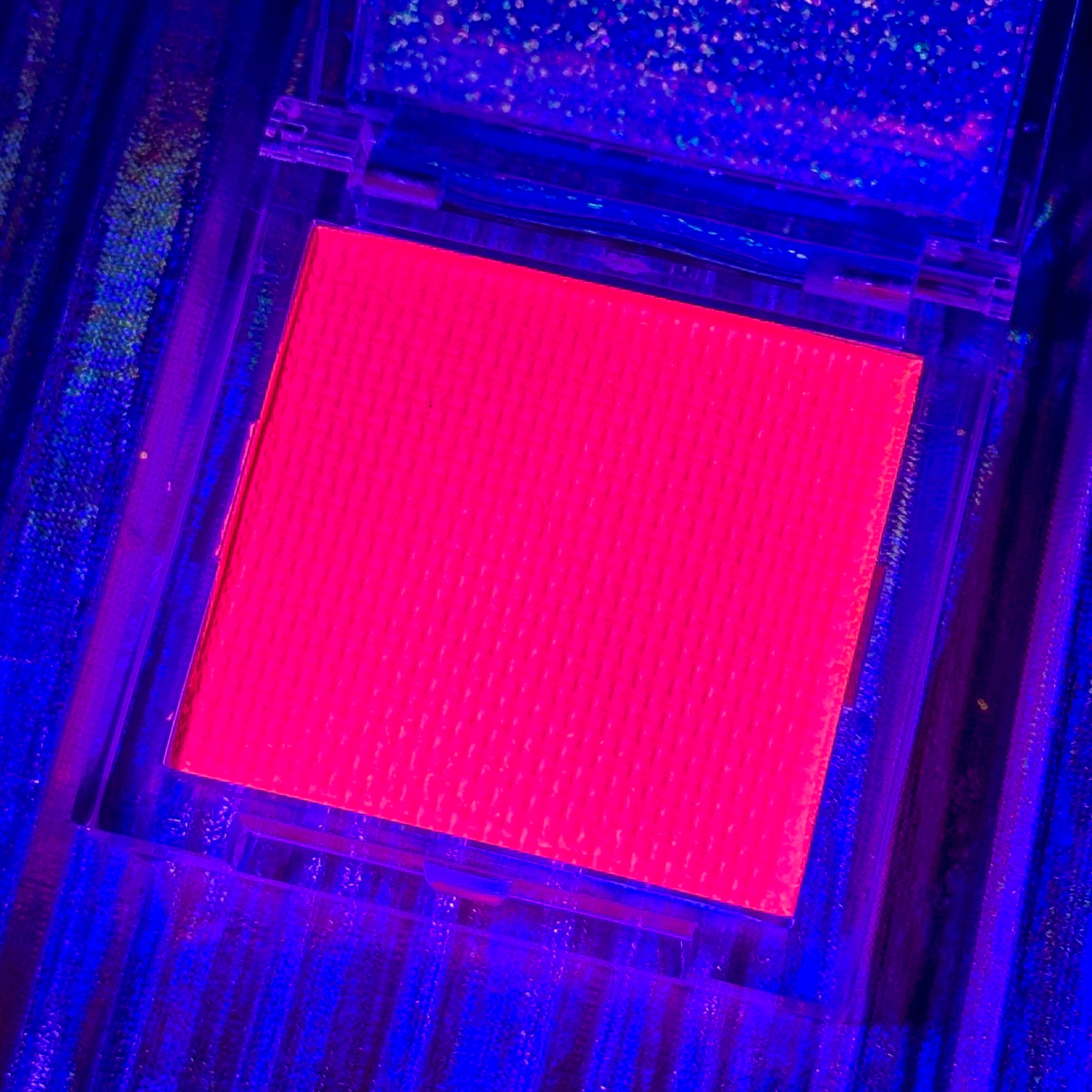 Bubblegum Bitch Splash Liner