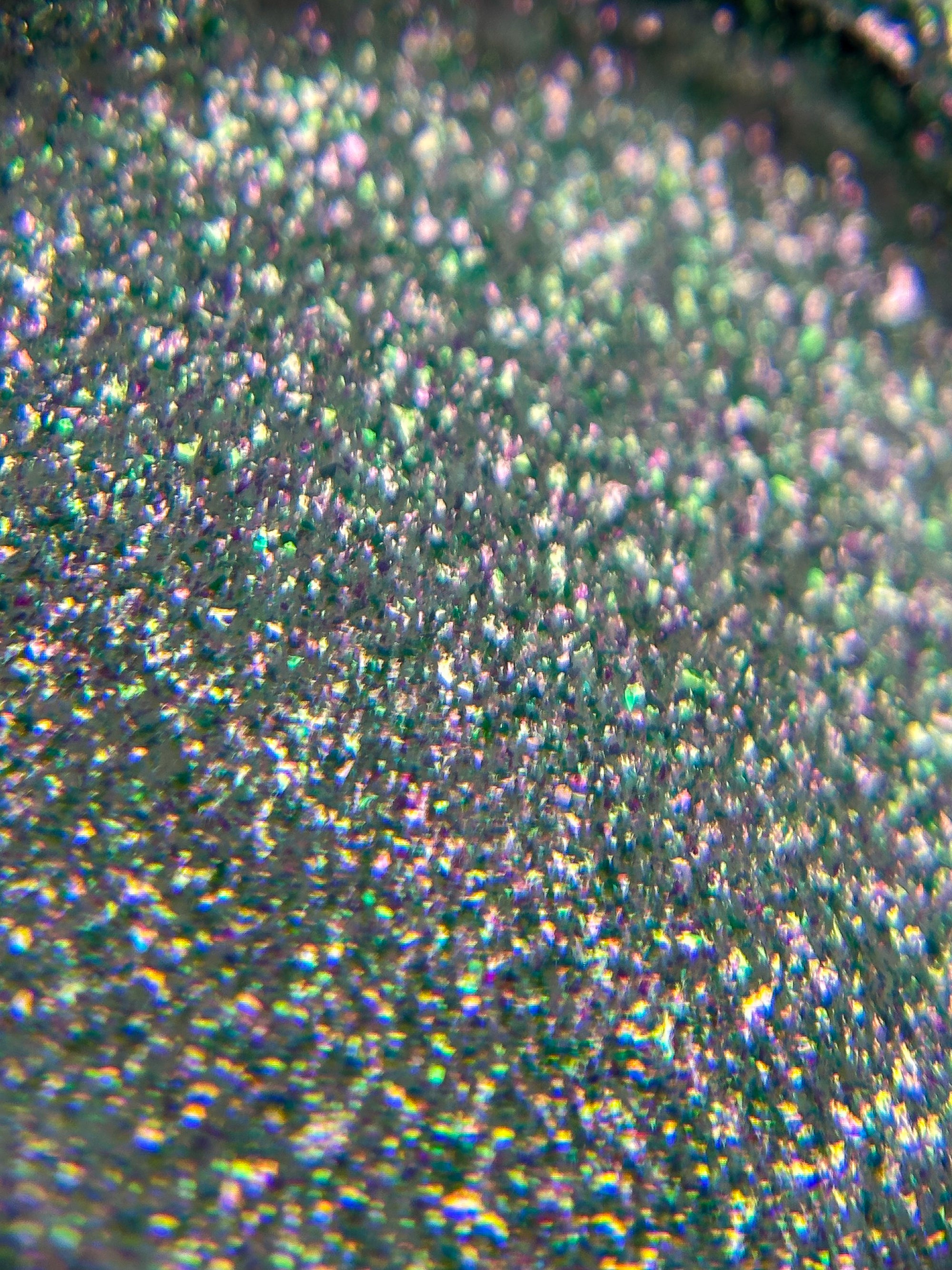 Wonderlust Loose Eyeshadow