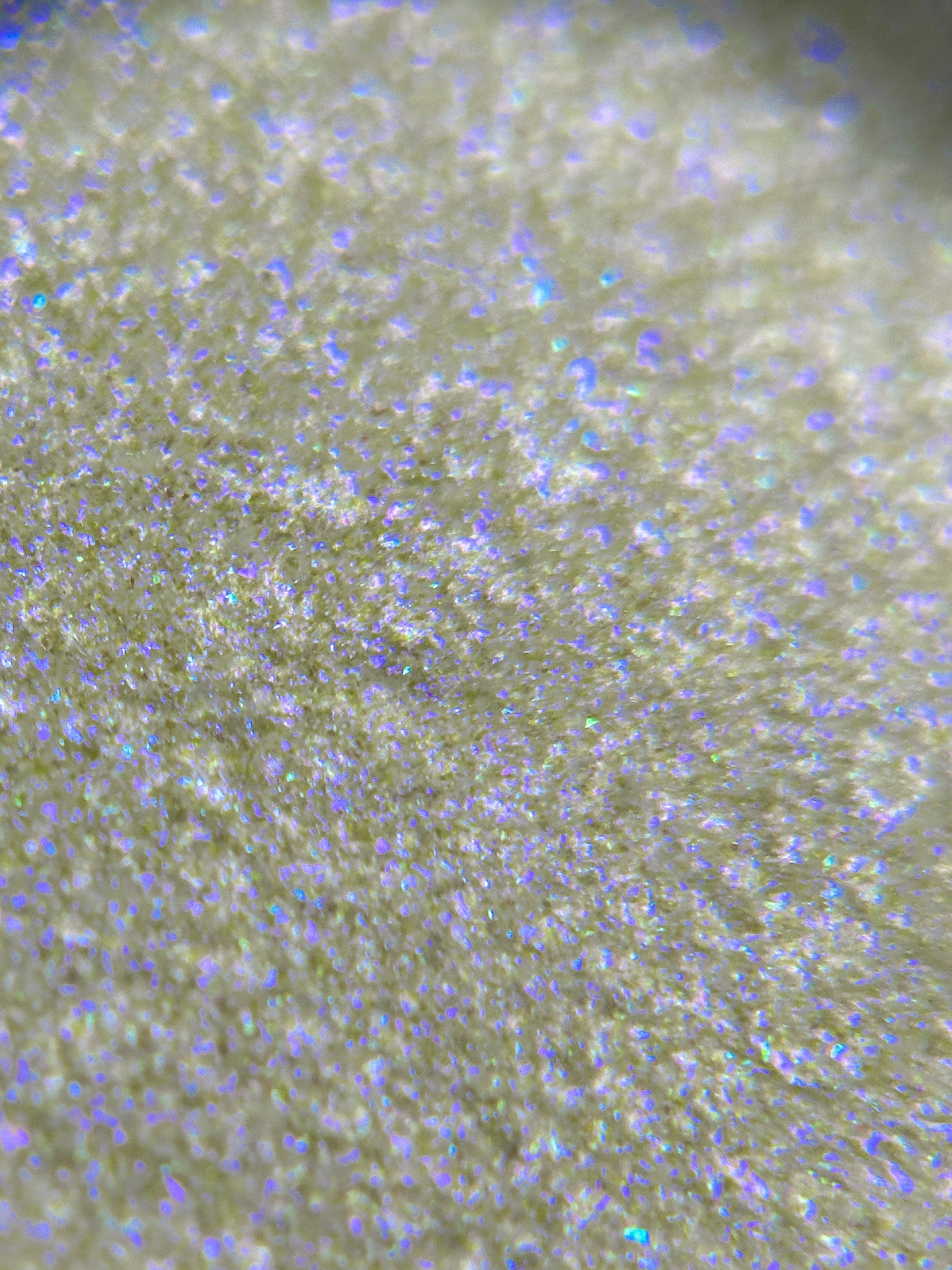 Phantom Phaze Loose Eyeshadow