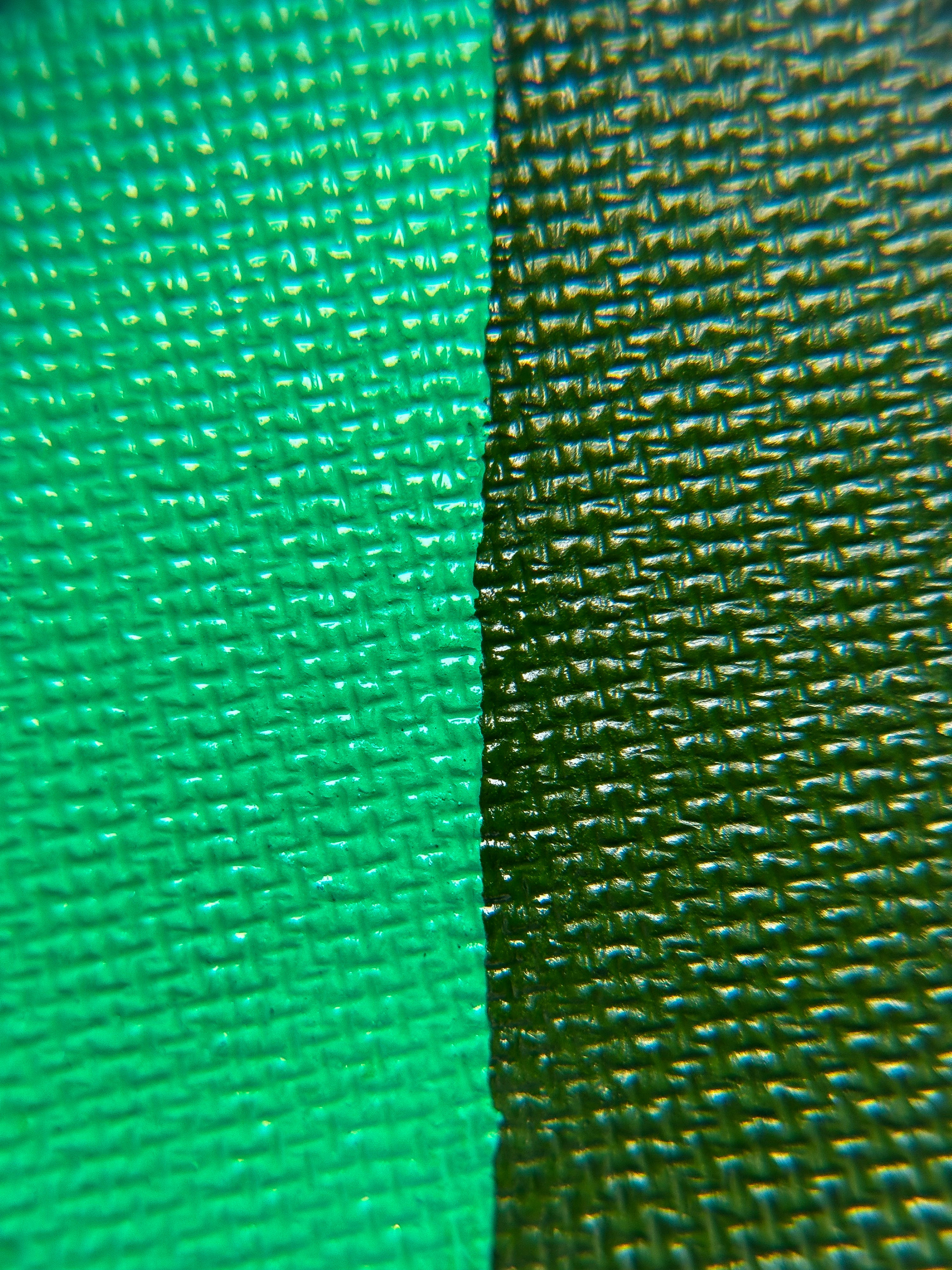Super Greens Split Splash Liner