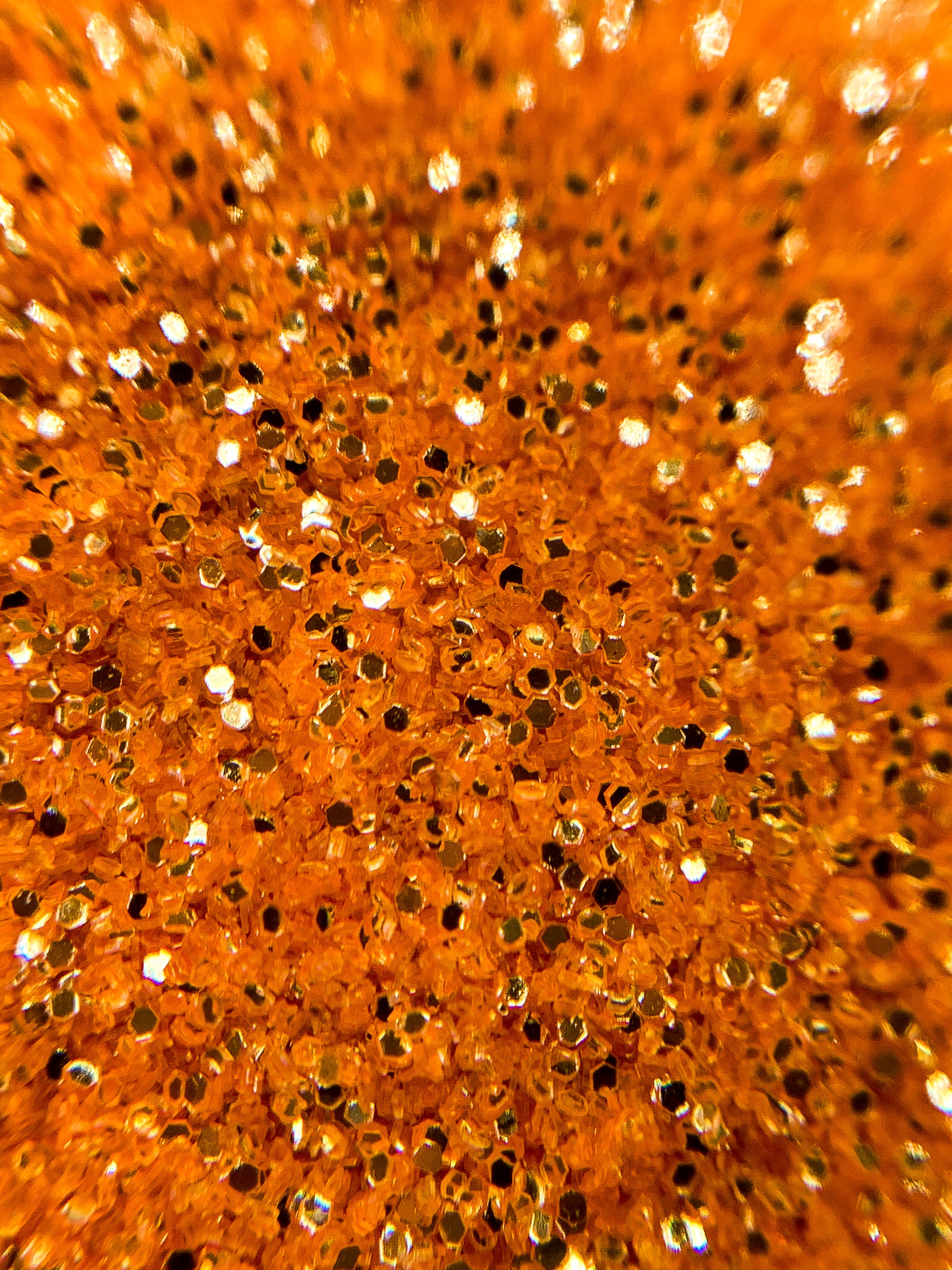 Pumpkin Spice Loose Glitter