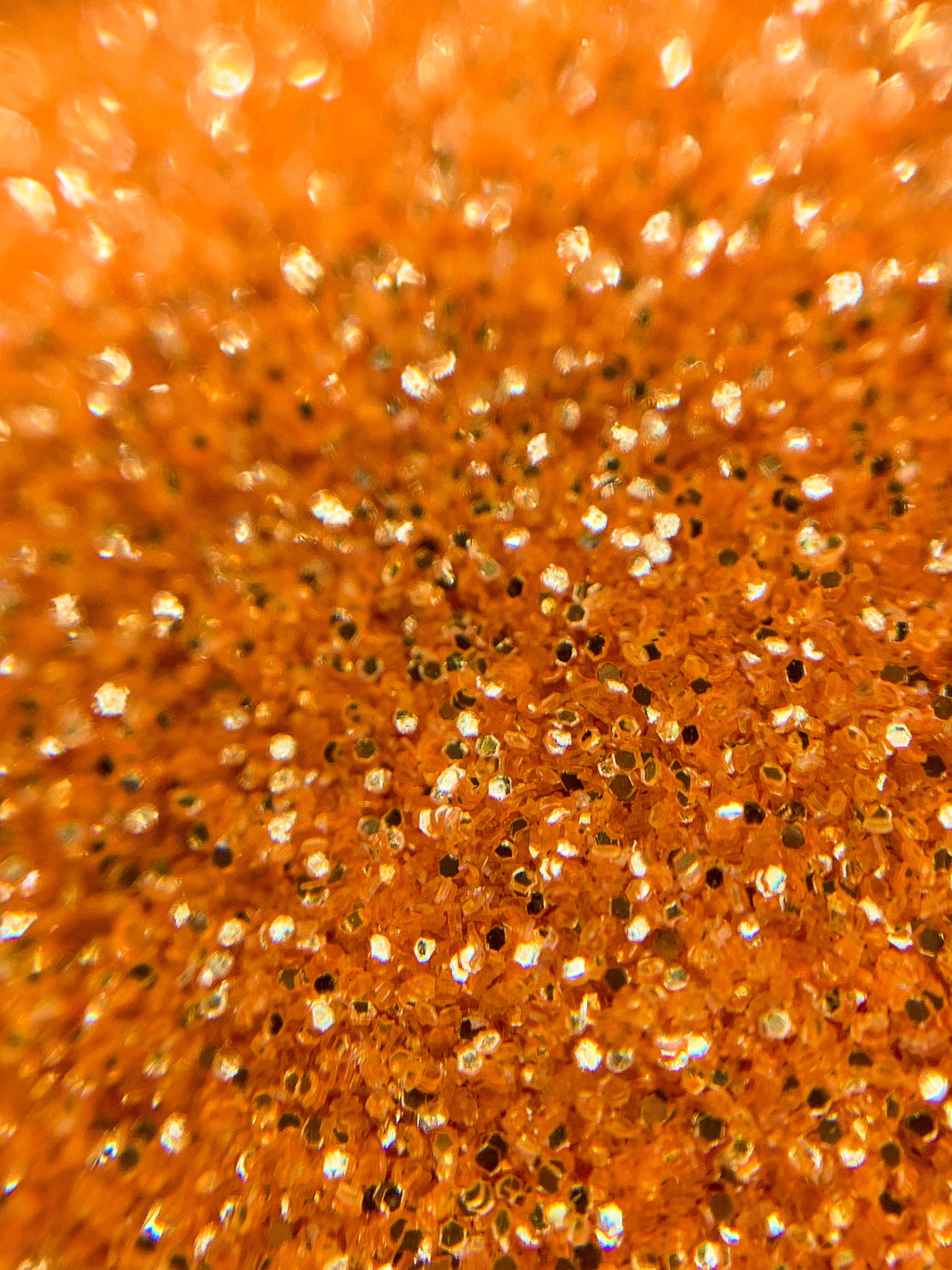 Pumpkin Spice Loose Glitter